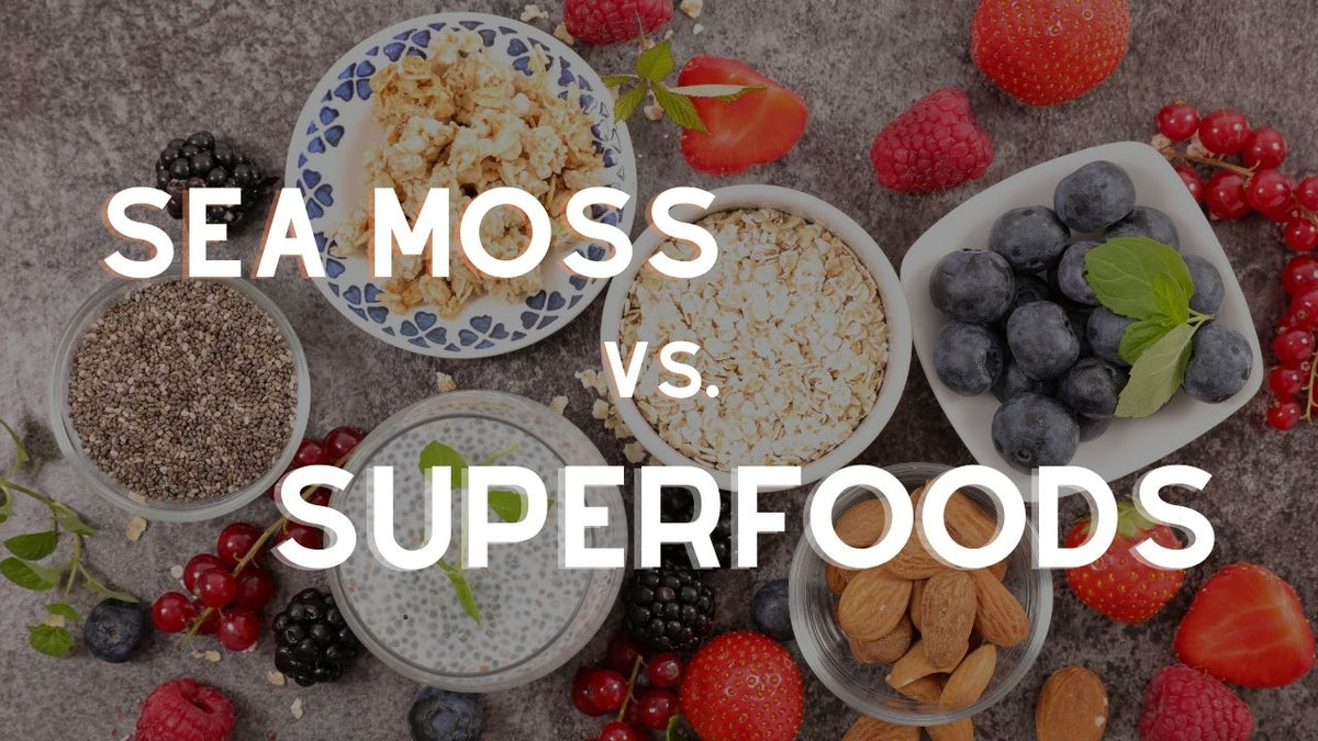 Sea Moss vs superfoods comparison